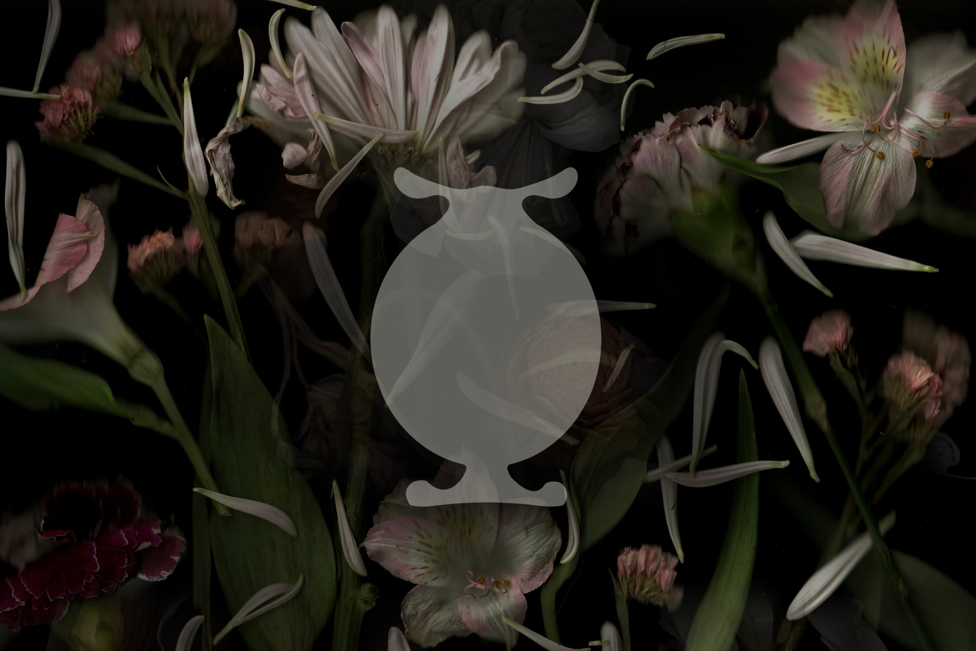 LVNEA: Perfume as Folklore, Ritual, and Return