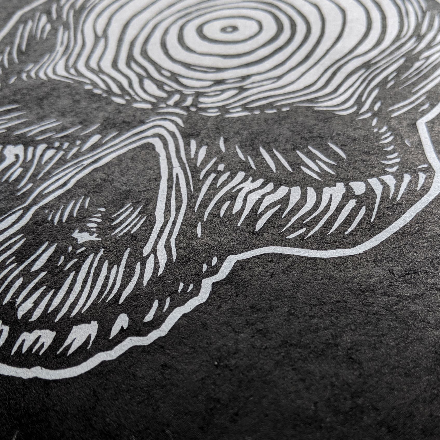Skull