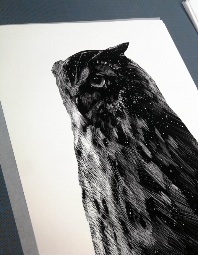 Owl