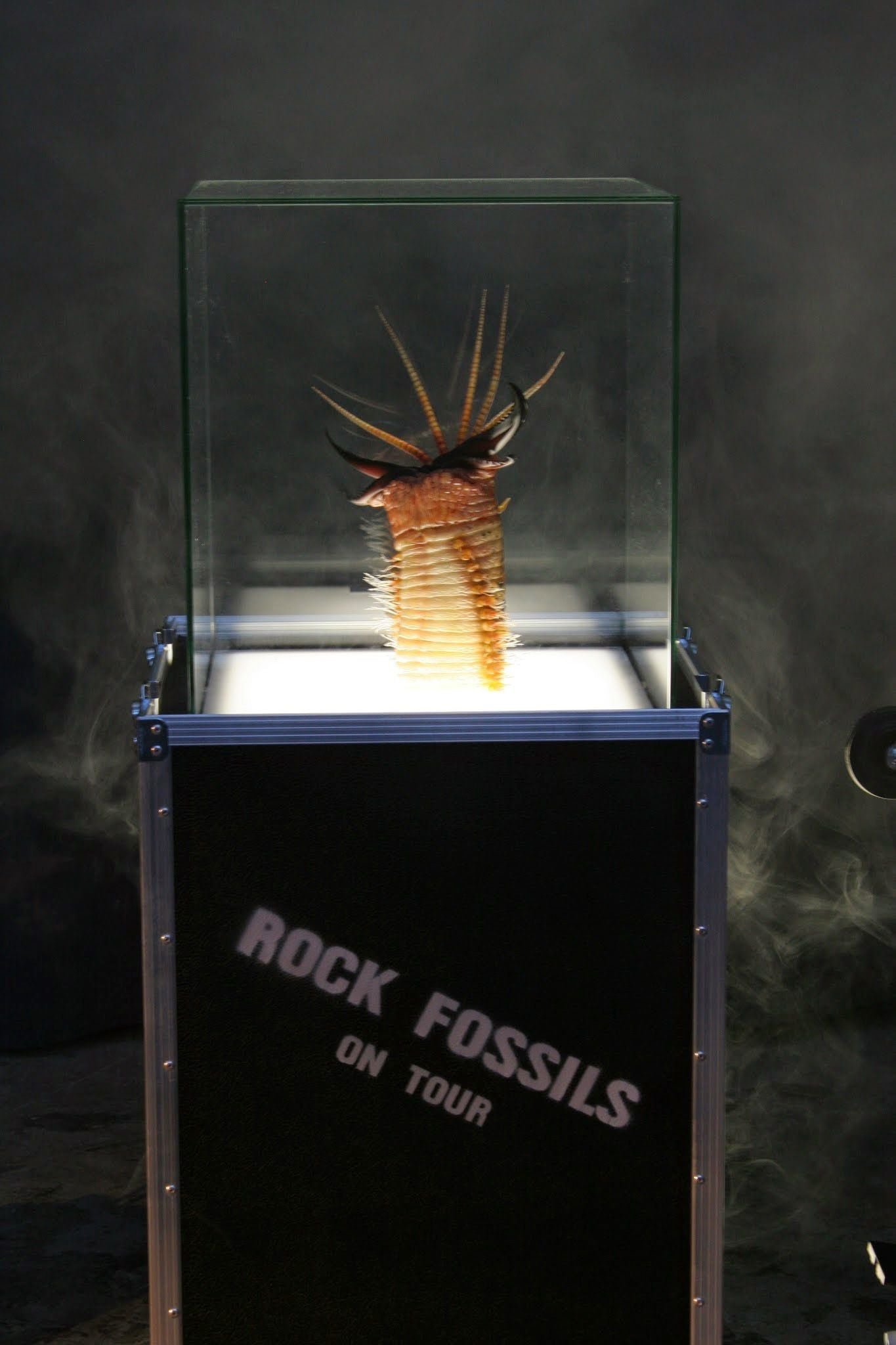 Kingnites Diamondi Necklace