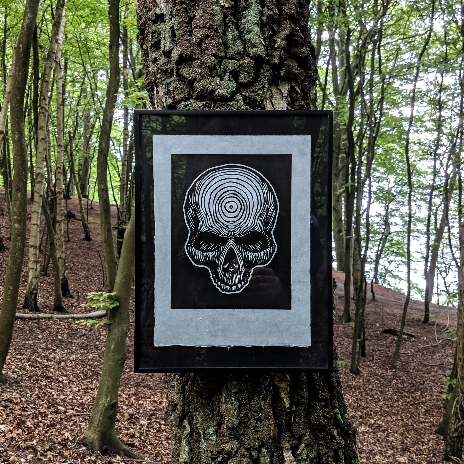 Skull