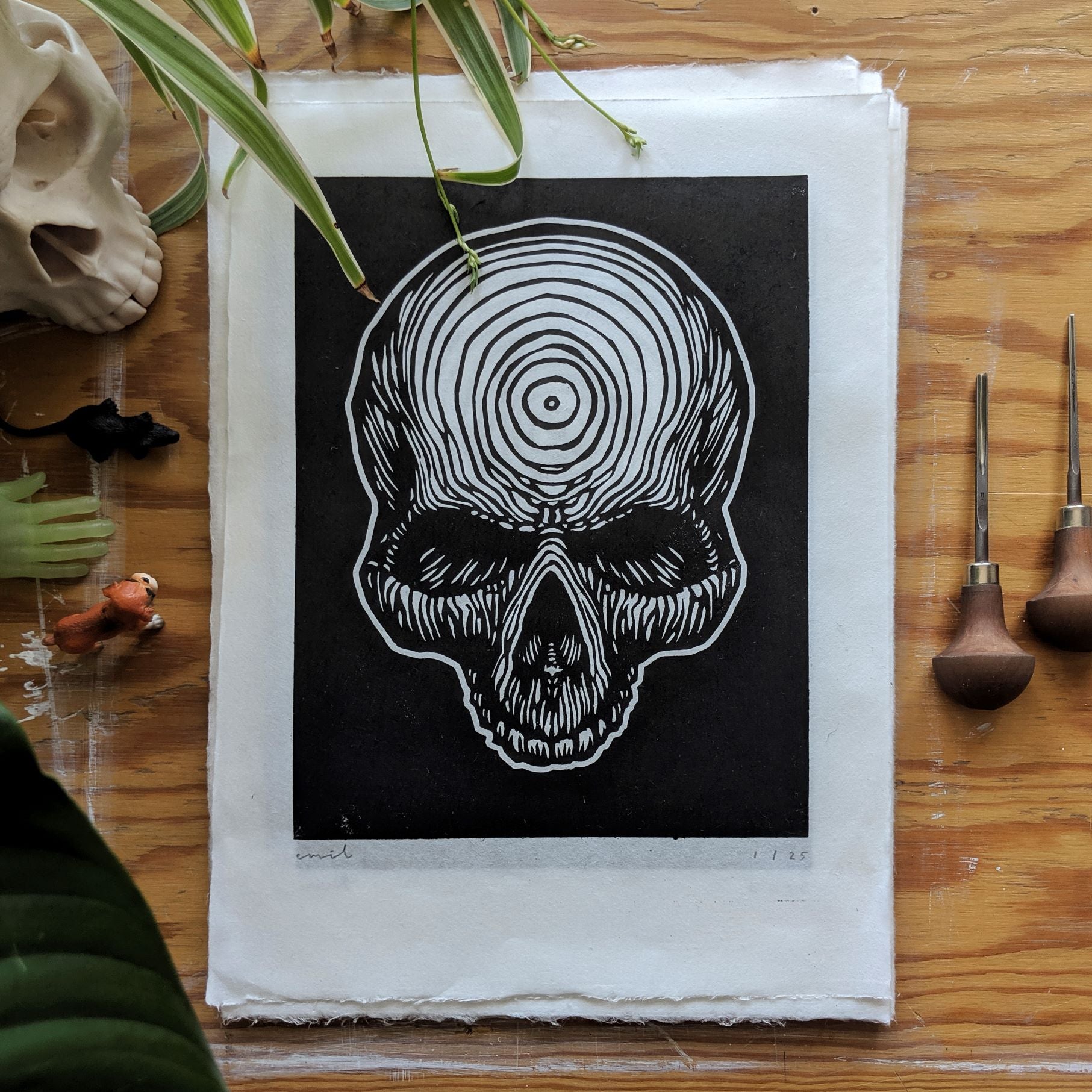 Skull