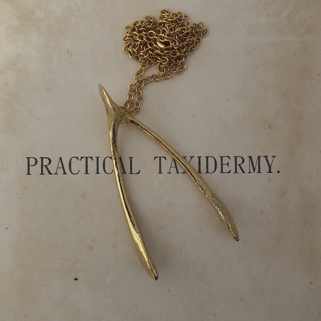 Golden Chicken Wishbone