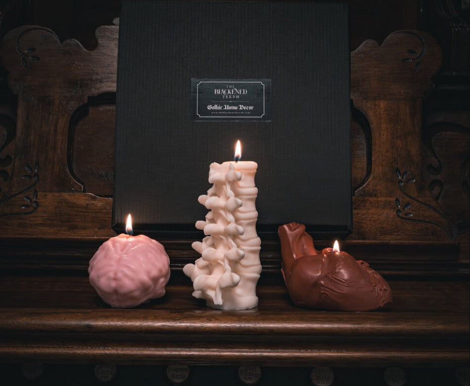 Anatomy Candles