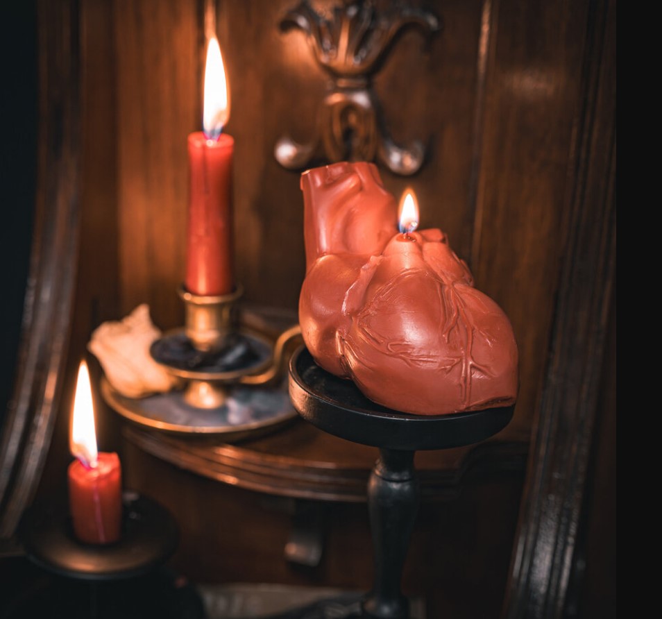 Anatomy Candles