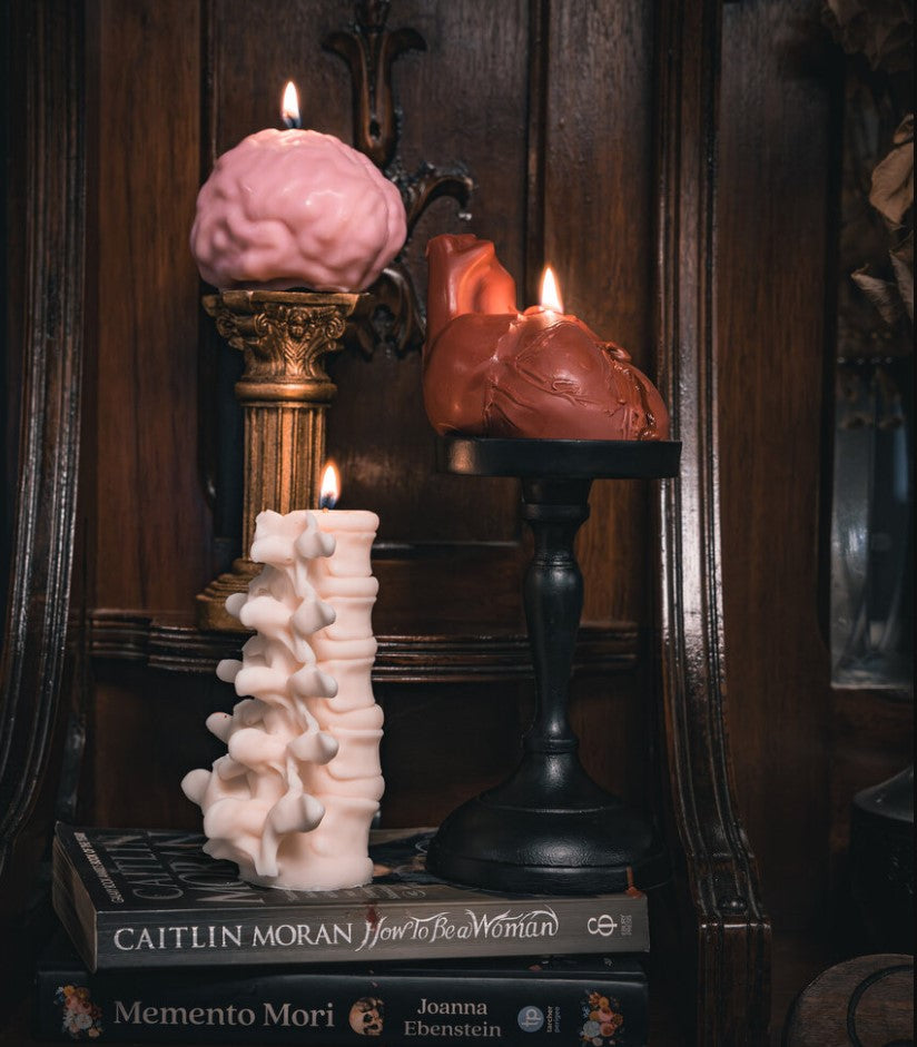 Anatomy Candles
