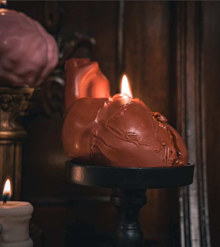 Anatomy Candles