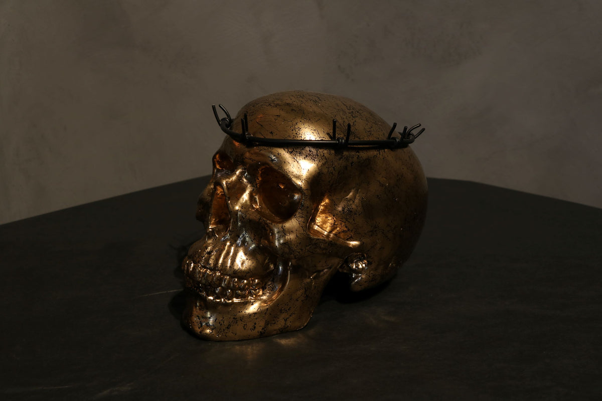 Barbed Wire Skull Golden