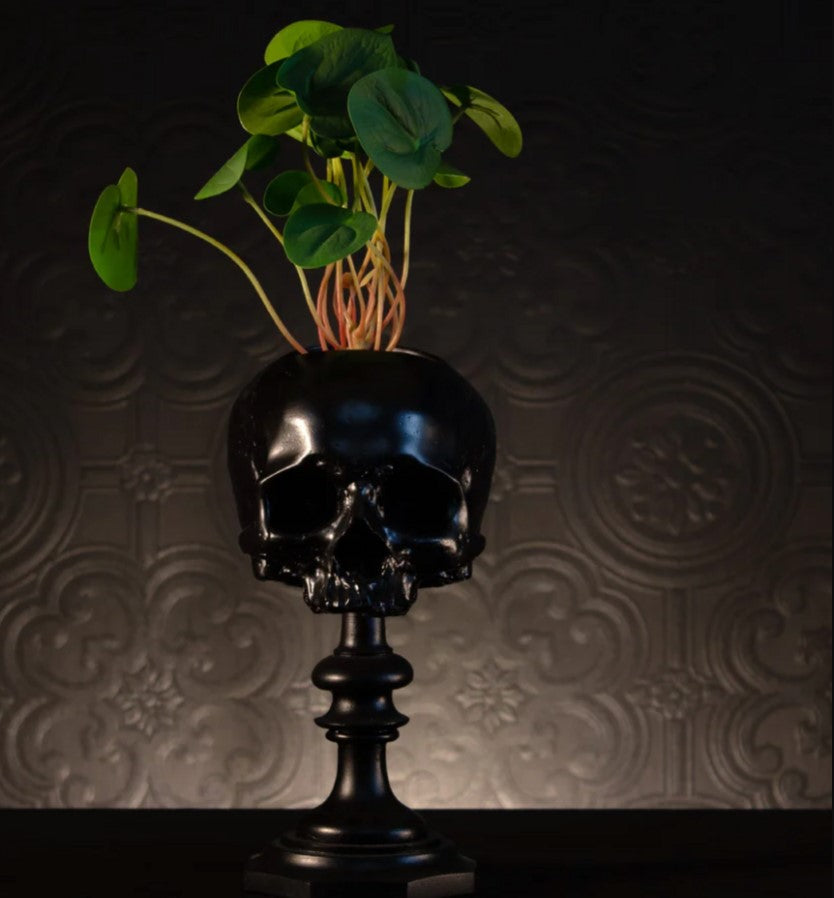 Skull of Jane Doe Pot Plinth