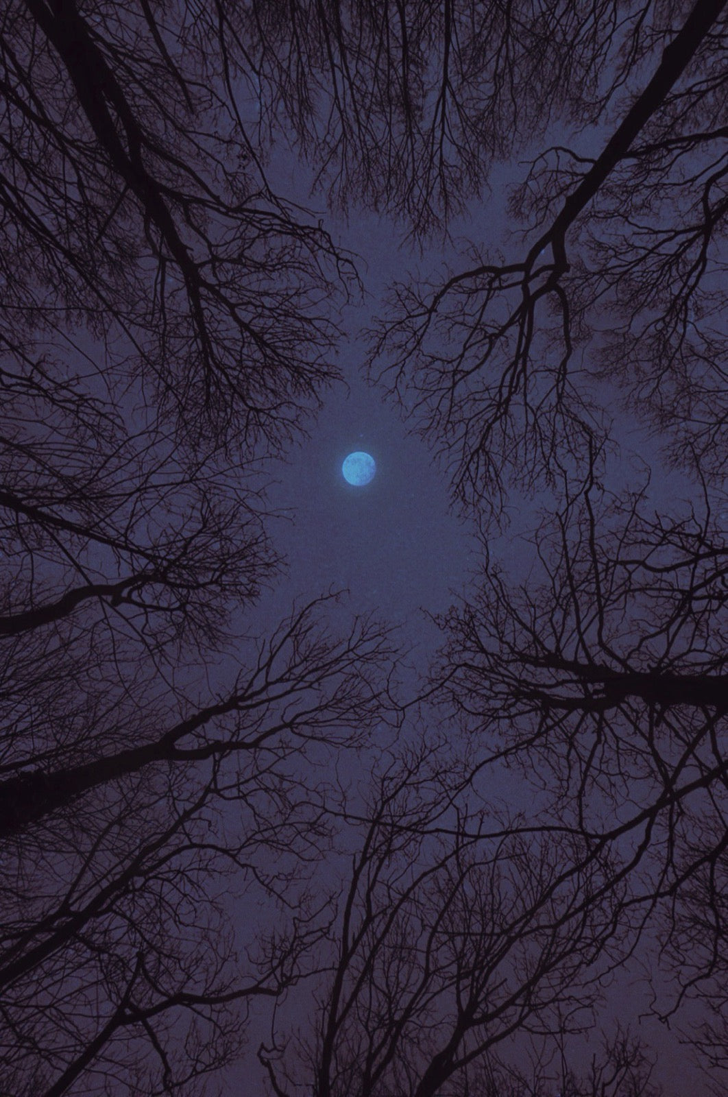 Blue Full Moon