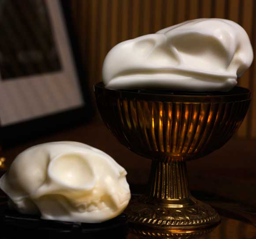 Eagle skull soap bar