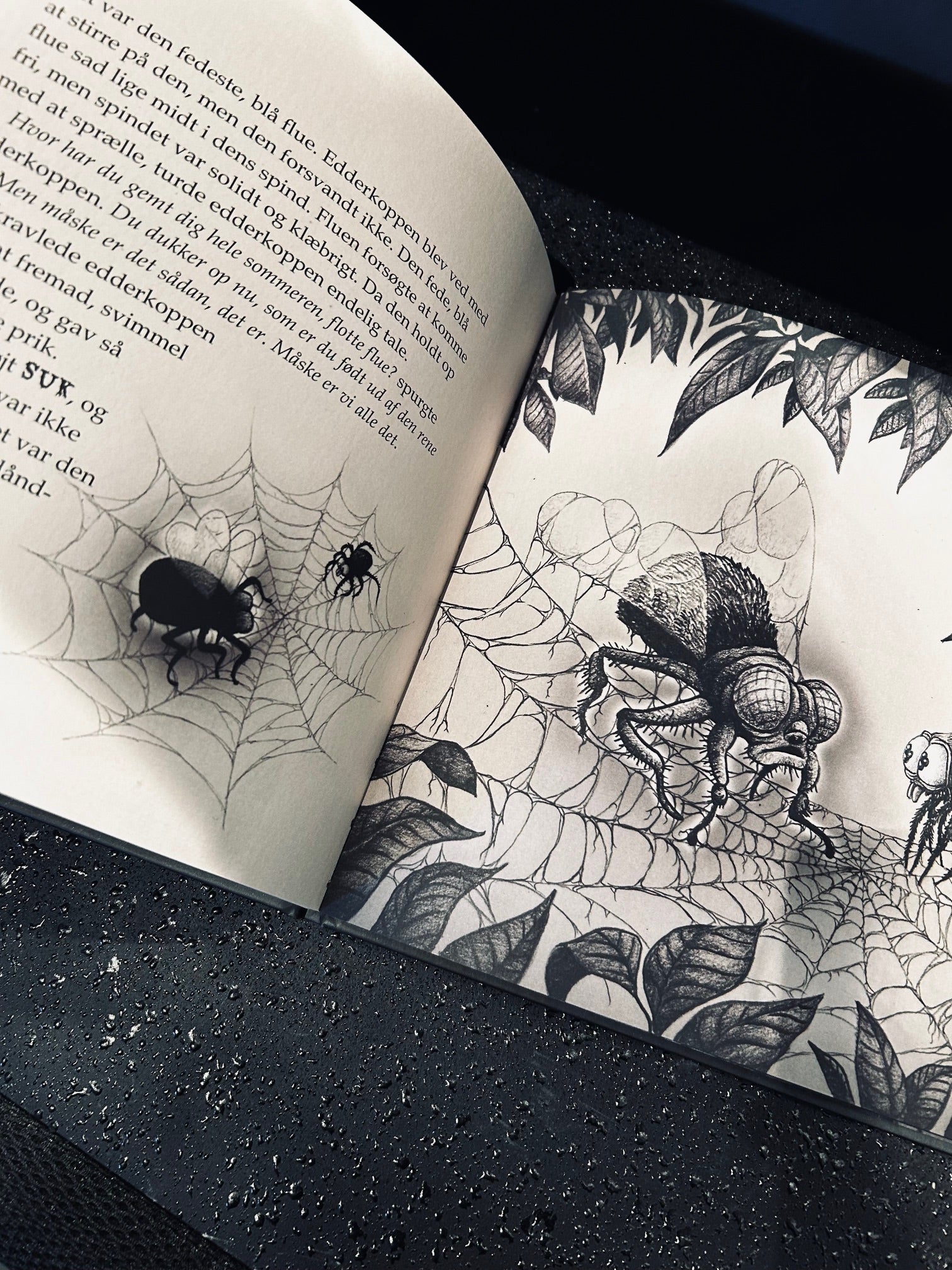 Edderkoppen (The Spider)