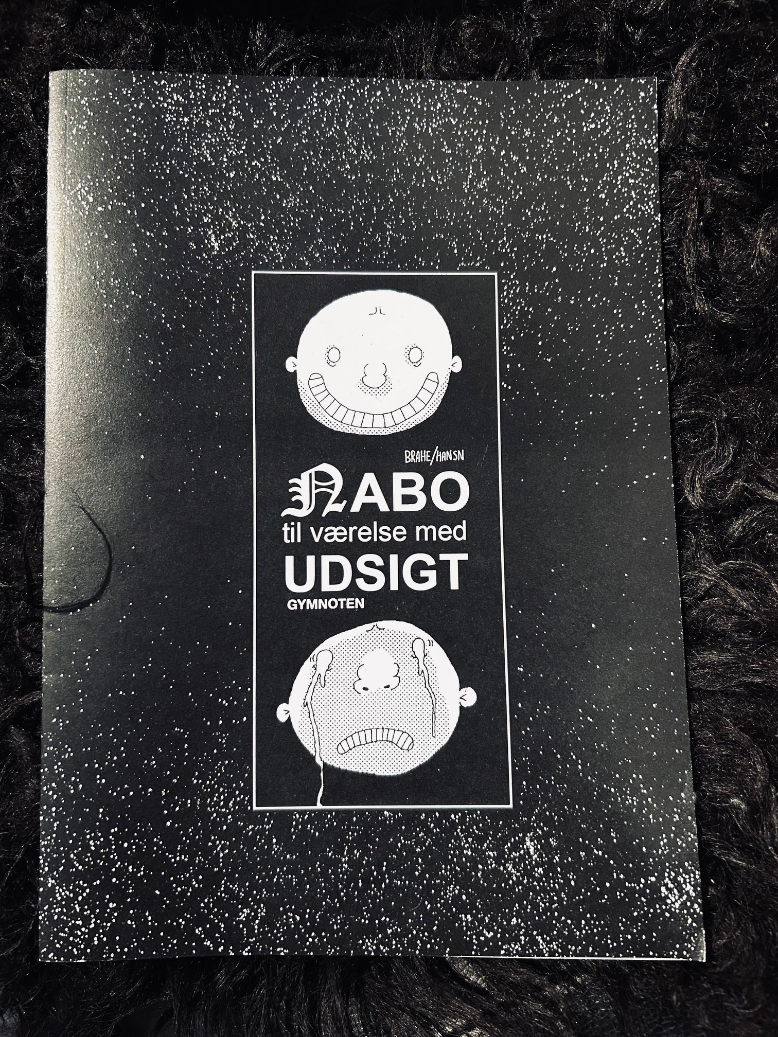 Nabo Til Værelse Med Udsigt