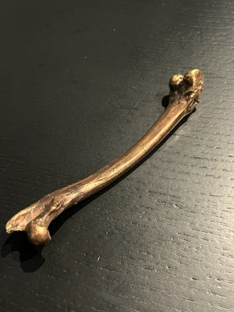 Hand molded bronze BONE