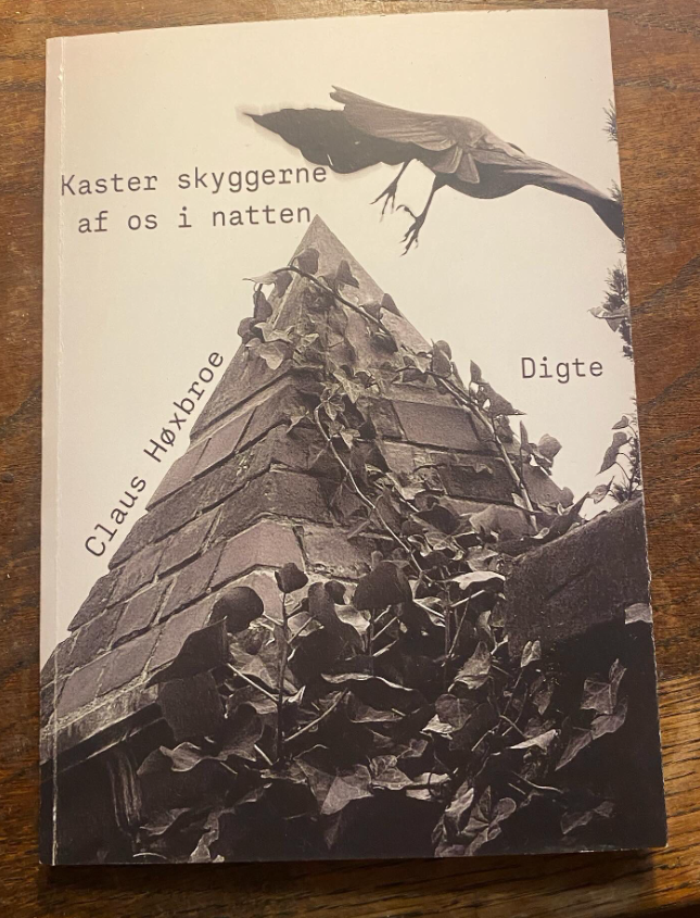 Kaster Skyggerne Af Os I Natten