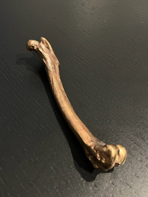 Hand molded bronze BONE