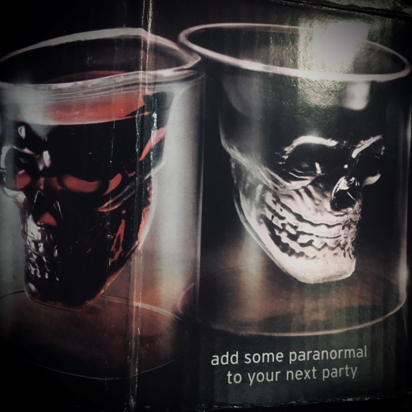 Skull Shaped Shot Glass