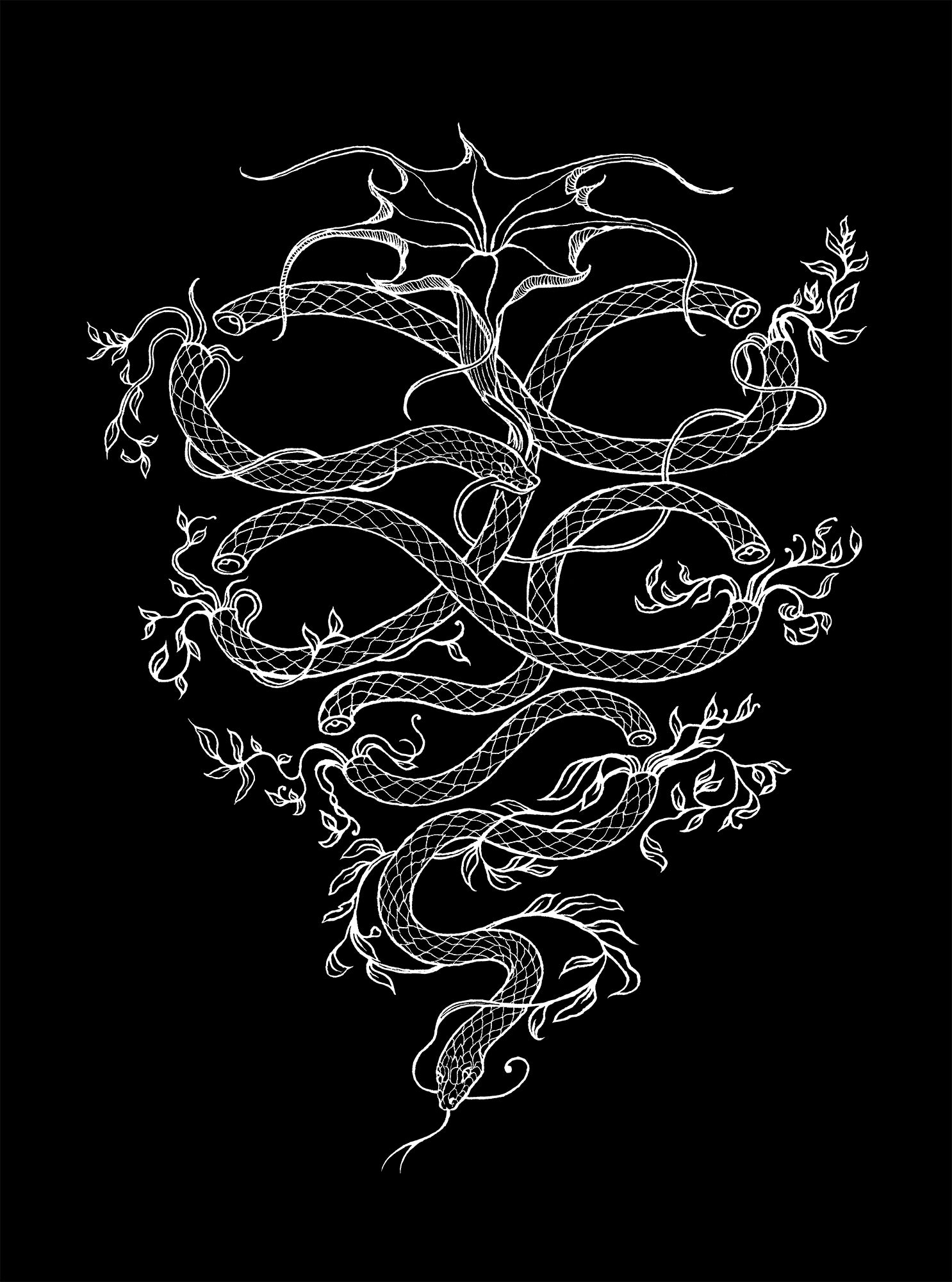 Amphisbaena and Datura