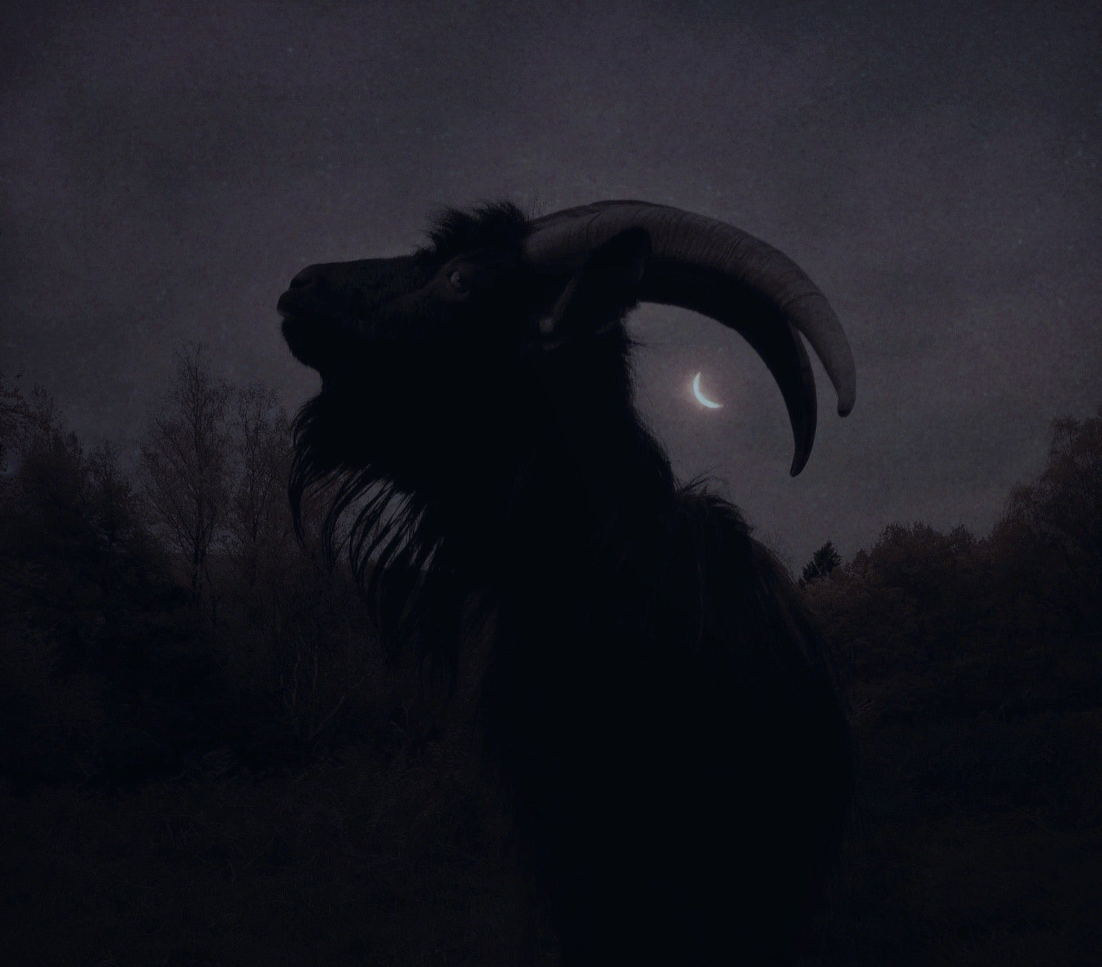 Black Phillip