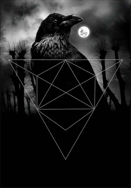 Trilogy raven postcard