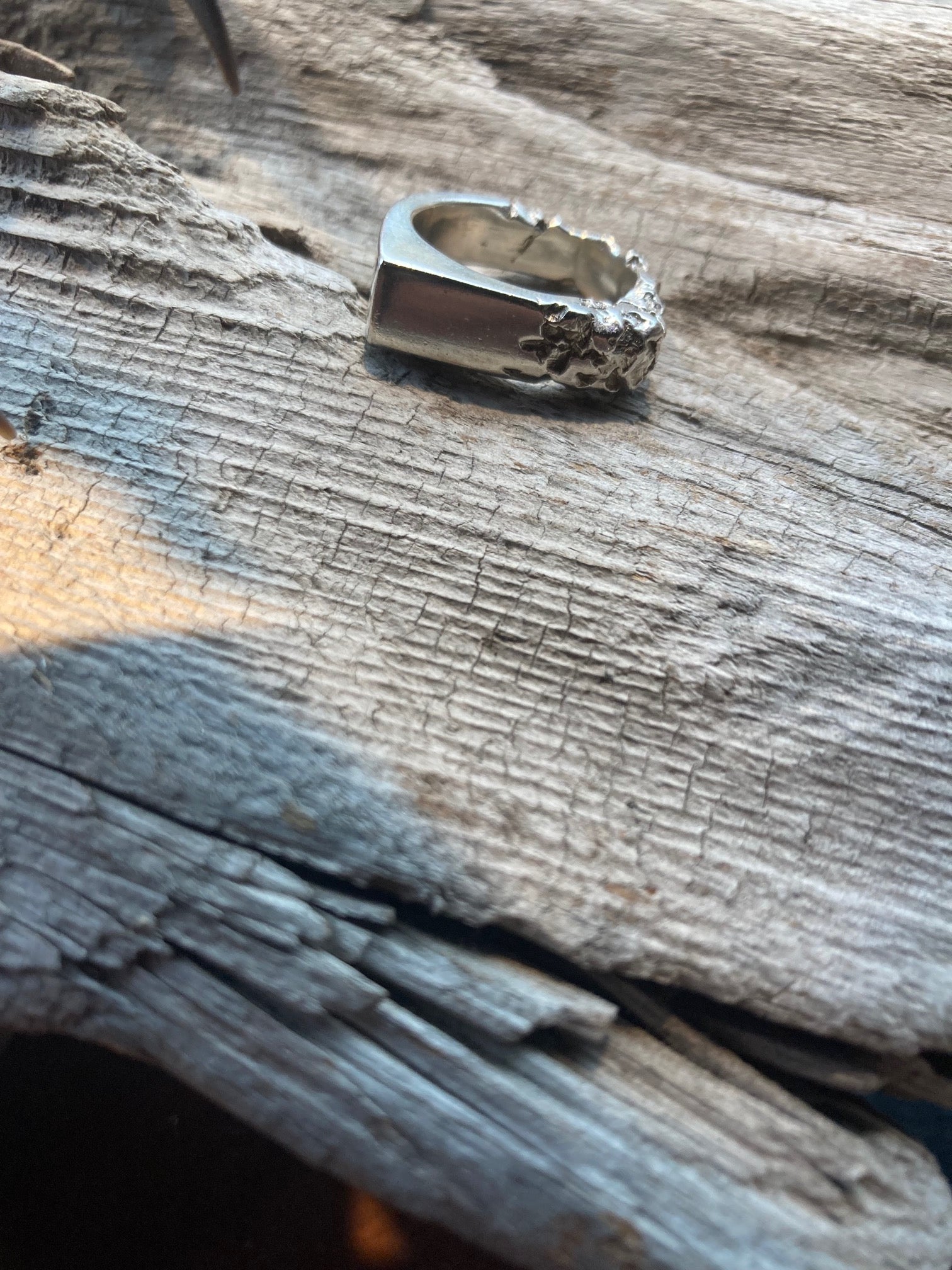 Silver Rebar Edge Ring