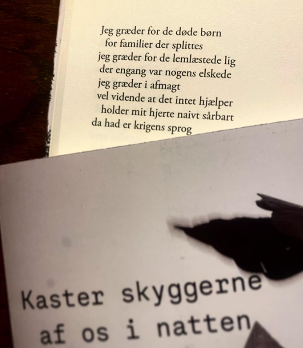 Kaster Skyggerne Af Os I Natten