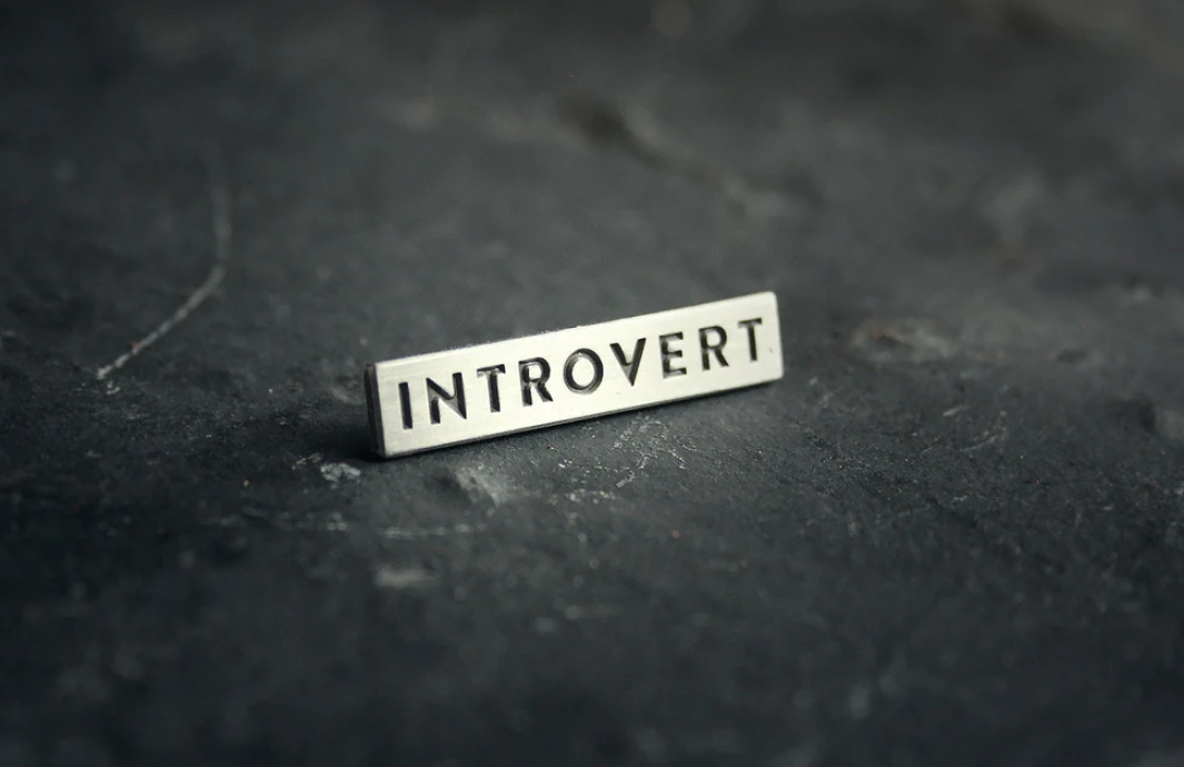 INTROVERT - PIN